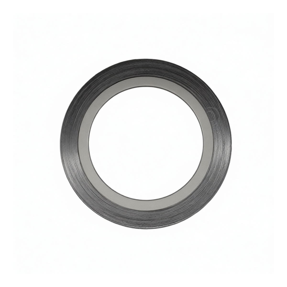 Stainless Steel 304 Flange Gasket, DN20 600LB, Pkg Qty 100