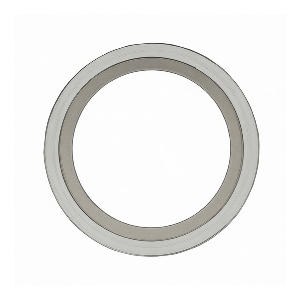 B-Type Metal Spiral Wound Gasket, 304/PTFE/304, 6 Inch 150LB, Pkg Qty 8