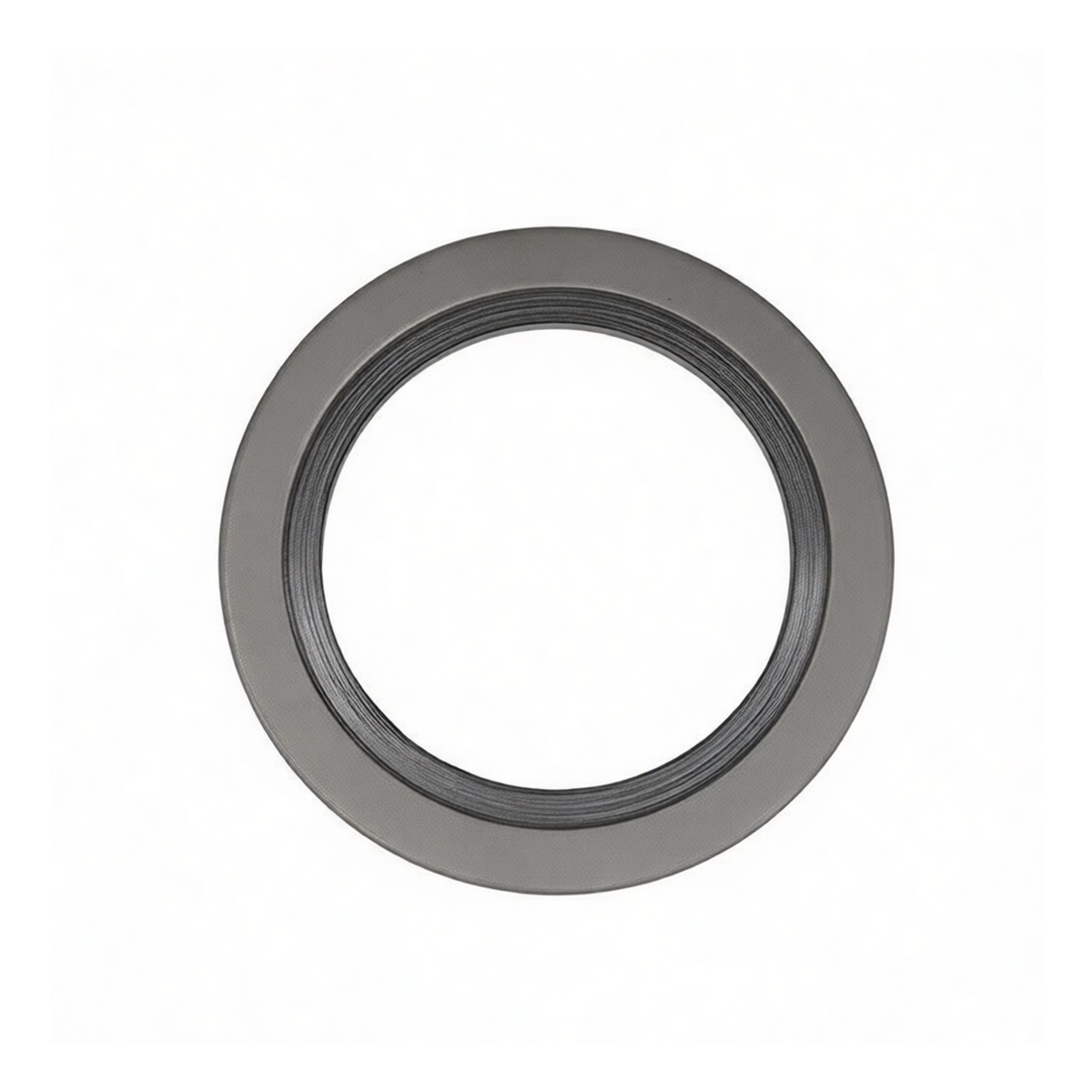 16 Inch 900LB ASME B16.20-2007 316L Stainless Steel Flange Gasket