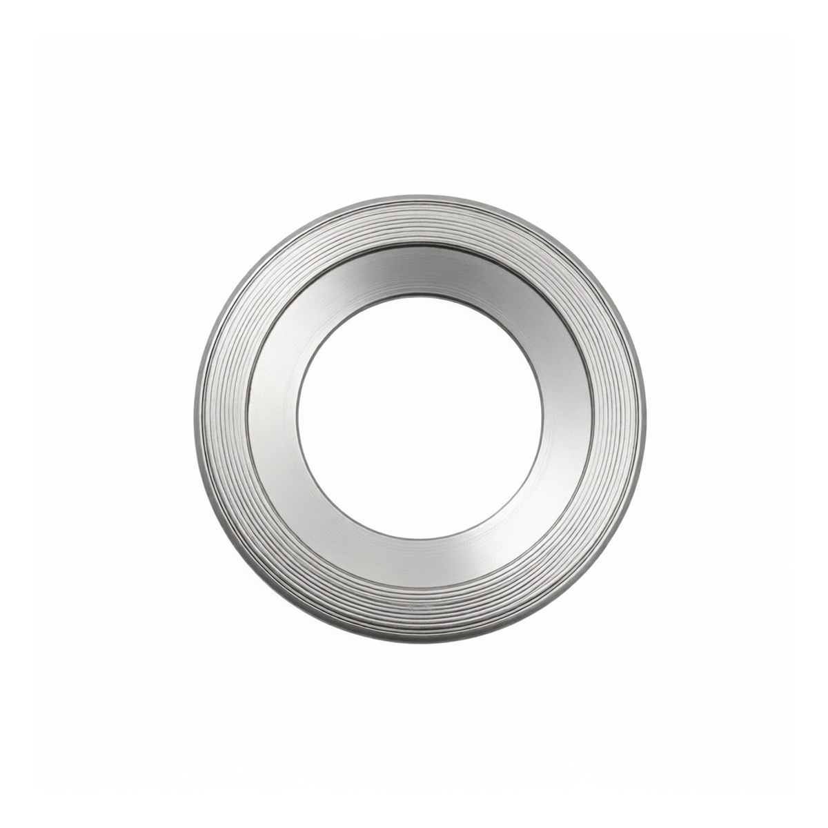 3.2 Inch 316L Stainless Steel Flange Gasket, PN16 to PN160, Pkg Qty 24